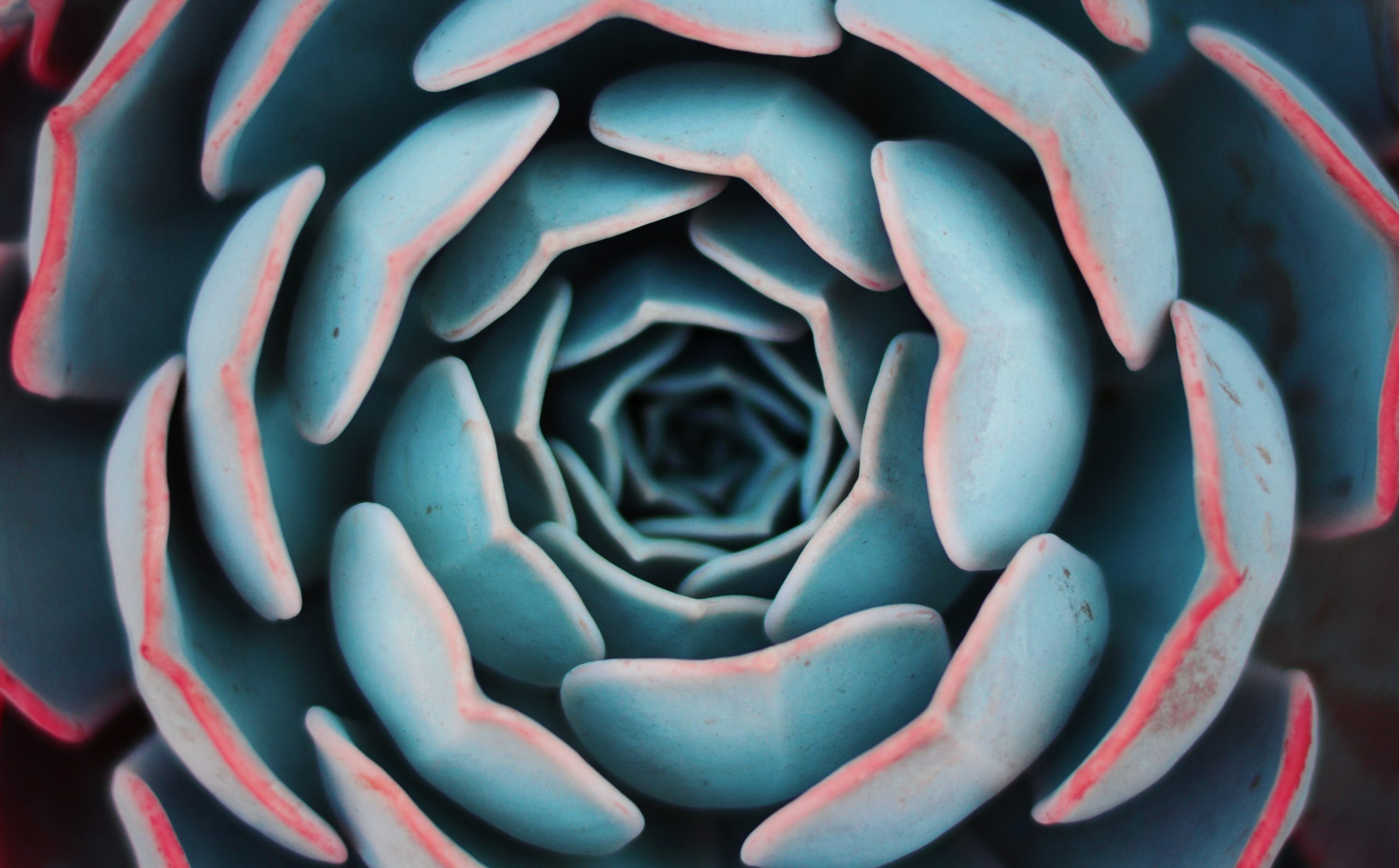 yousef-espanioly-L6g30JaQ5Tc-unsplash