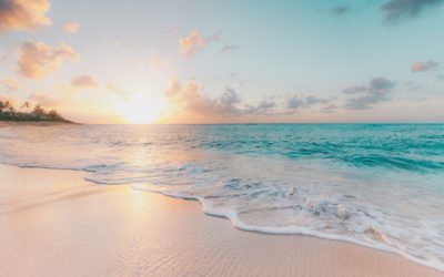 sean-o-KMn4VEeEPR8-unsplash sean-o-KMn4VEeEPR8-unsplash