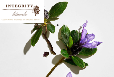 Integrity Botanicals + MKC Integrity Botanicals + MKC