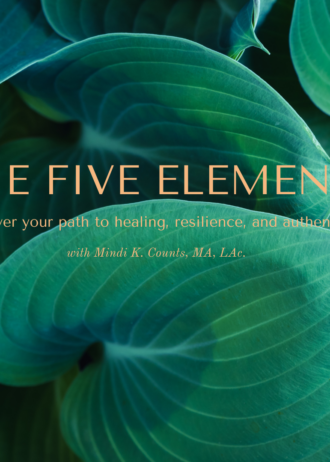 The Five Elements of Healing-5